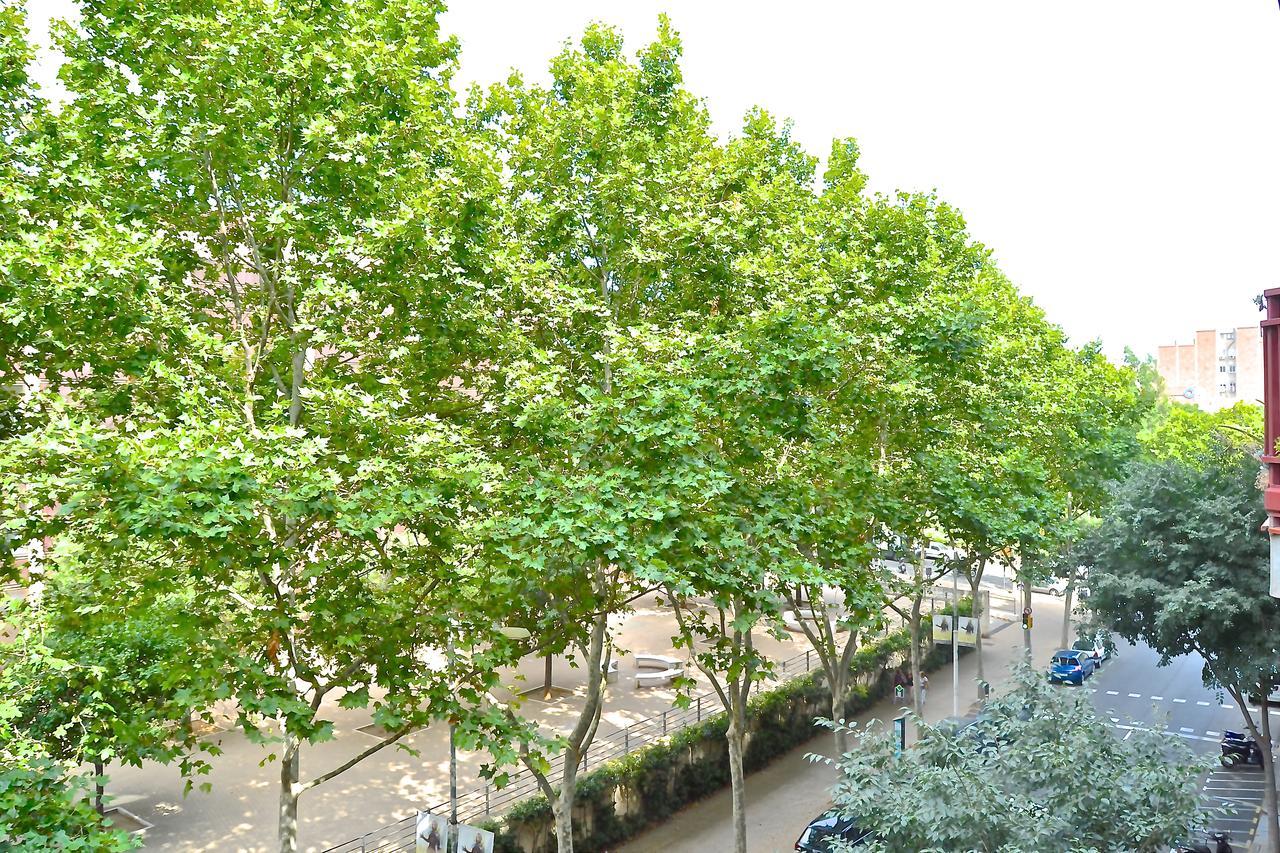 Auditori Barcelona — Fotos 1